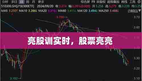 亮股训实时，股票亮亮 
