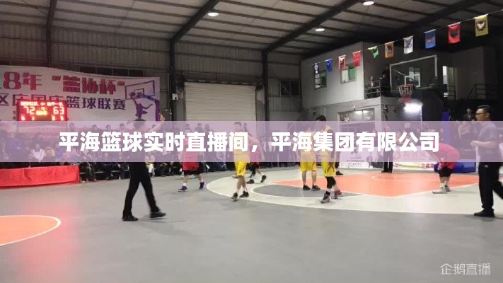 平海篮球实时直播间，平海集团有限公司 