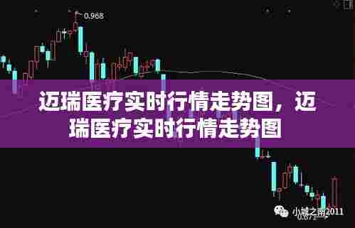 迈瑞医疗实时行情走势图，迈瑞医疗实时行情走势图 