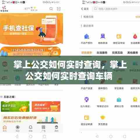 掌上公交如何实时查询，掌上公交如何实时查询车辆 
