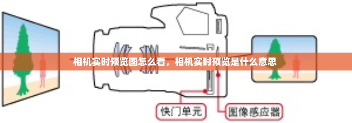 相机实时预览图怎么看,相机实时预览是什么意思