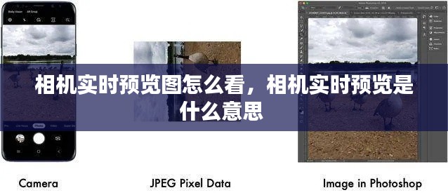 相机实时预览图怎么看,相机实时预览是什么意思