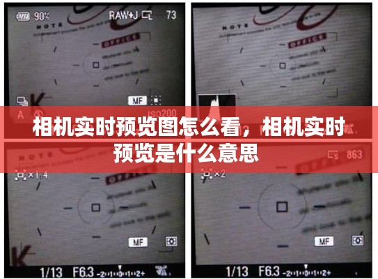 相机实时预览图怎么看,相机实时预览是什么意思