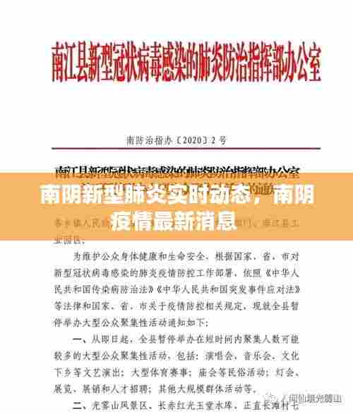 南阴新型肺炎实时动态,南阴疫情最新消息