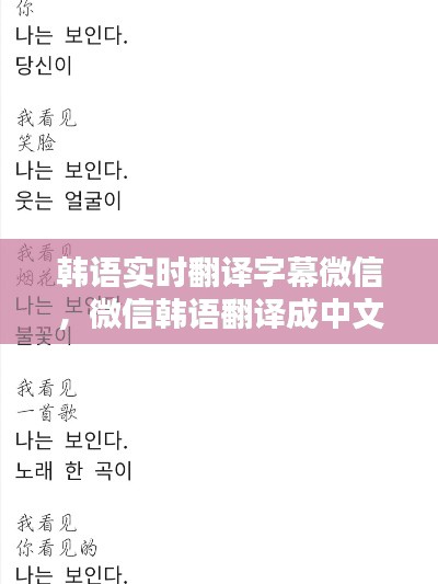 韩语实时翻译字幕微信，微信韩语翻译成中文 