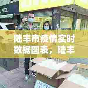 陆丰市疫情实时数据图表，陆丰市疫情实时数据图表查询 