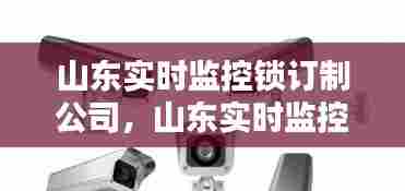 山东实时监控锁订制公司，山东实时监控锁订制公司 