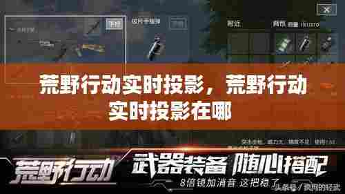 荒野行动实时投影，荒野行动实时投影在哪 