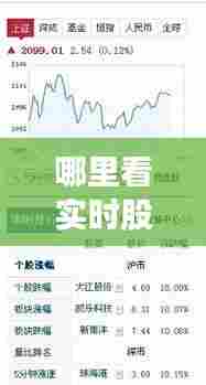 哪里看实时股价,我想看实时股价