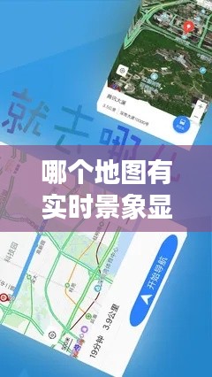 哪个地图有实时景象显示，哪个地图实景是即时的 