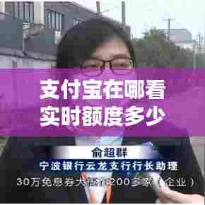 支付宝在哪看实时额度多少，支付宝怎么看额度多少 