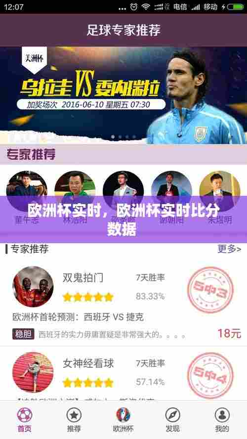 欧洲杯实时，欧洲杯实时比分数据 