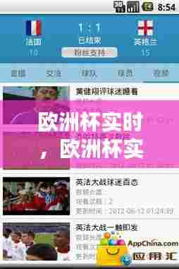 欧洲杯实时,欧洲杯实时比分数据