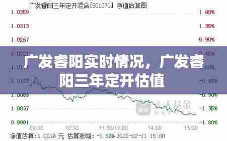广发睿阳实时情况，广发睿阳三年定开估值 