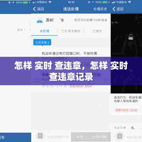 怎样 实时 查违章，怎样 实时 查违章记录 