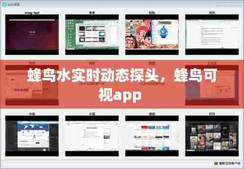 蜂鸟水实时动态探头，蜂鸟可视app 