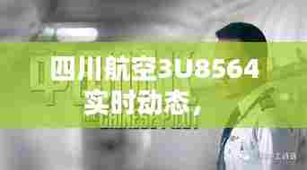 四川航空3U8564实时动态， 