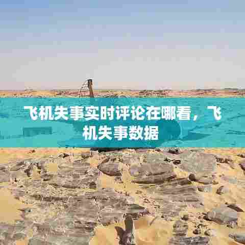 飞机失事实时评论在哪看，飞机失事数据 
