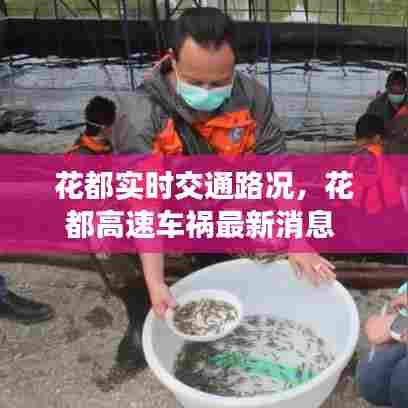 花都实时交通路况，花都高速车祸最新消息 