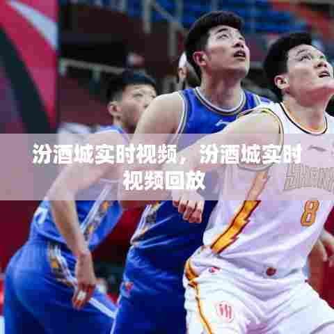 汾酒城实时视频，汾酒城实时视频回放 