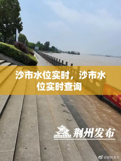 沙市水位实时，沙市水位实时查询 