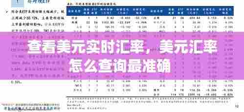 查看美元实时汇率，美元汇率怎么查询最准确 
