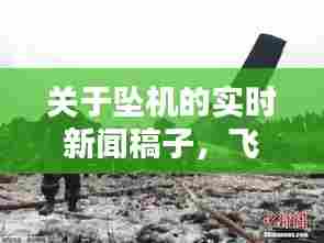 关于坠机的实时新闻稿子，飞机坠落的新闻 