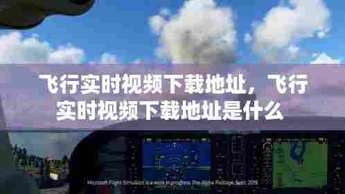 飞行实时视频下载地址，飞行实时视频下载地址是什么 