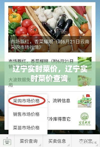 辽宁实时菜价，辽宁实时菜价查询 