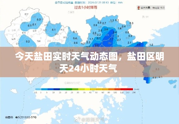 今天盐田实时天气动态图，盐田区明天24小时天气 