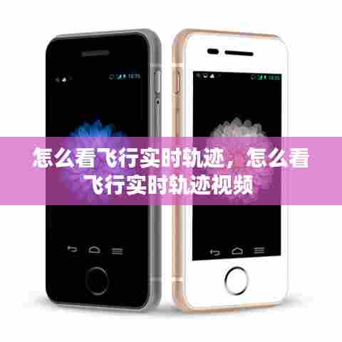 怎么看飞行实时轨迹，怎么看飞行实时轨迹视频 