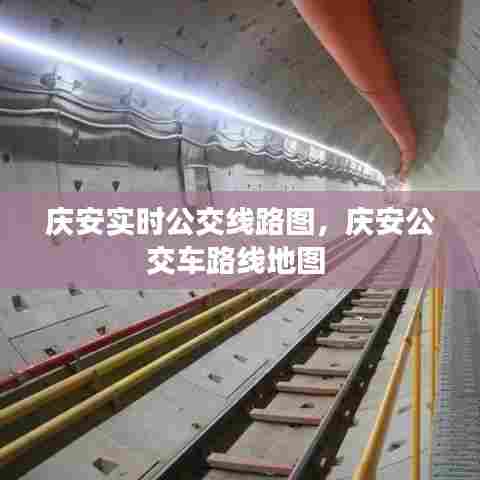 庆安实时公交线路图，庆安公交车路线地图 