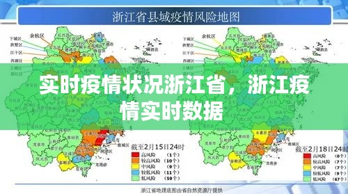 实时疫情状况浙江省，浙江疫情实时数据 