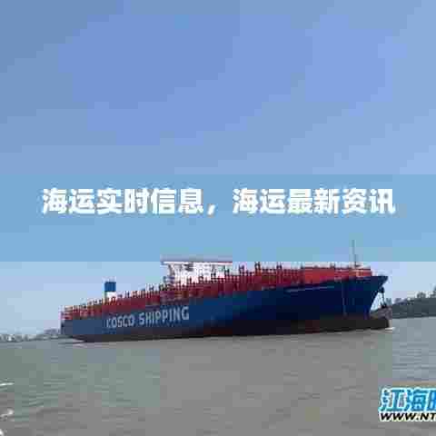 海运实时信息，海运最新资讯 