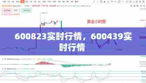 600823实时行情，600439实时行情 