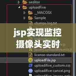 jsp实现监控摄像头实时播放，html 视频监控 