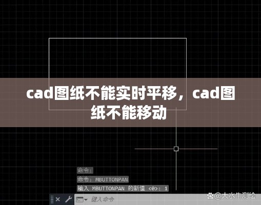 cad图纸不能实时平移，cad图纸不能移动 