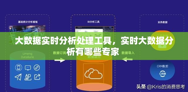 大数据实时分析处理工具,实时大数据分析有哪些专家
