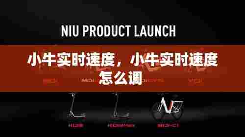 小牛实时速度，小牛实时速度怎么调 