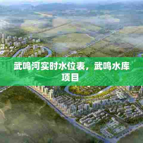 武鸣河实时水位表，武鸣水库项目 