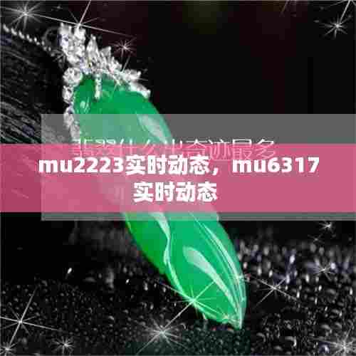 mu2223实时动态，mu6317实时动态 
