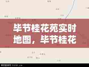 毕节桂花苑实时地图，毕节桂花苑在哪里 