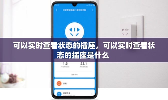 可以实时查看状态的插座，可以实时查看状态的插座是什么 