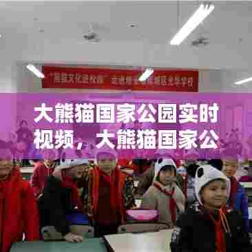 大熊猫国家公园实时视频,大熊猫国家公园实时视频播放