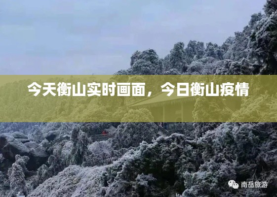 难得可贵 第2页