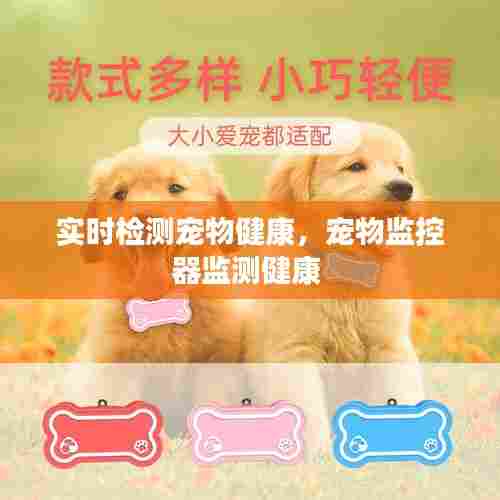 实时检测宠物健康，宠物监控器监测健康 