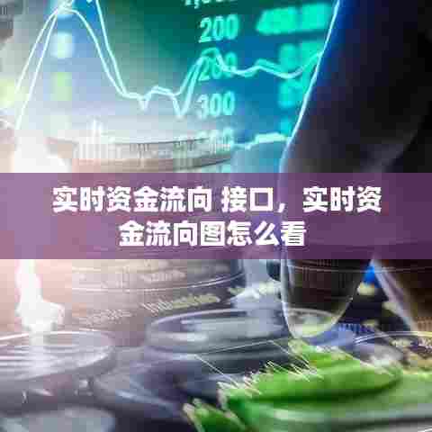 实时资金流向 接口,实时资金流向图怎么看