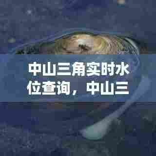 中山三角实时水位查询，中山三角供水公司电话 