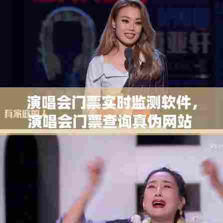 演唱会门票实时监测软件,演唱会门票查询真伪网站