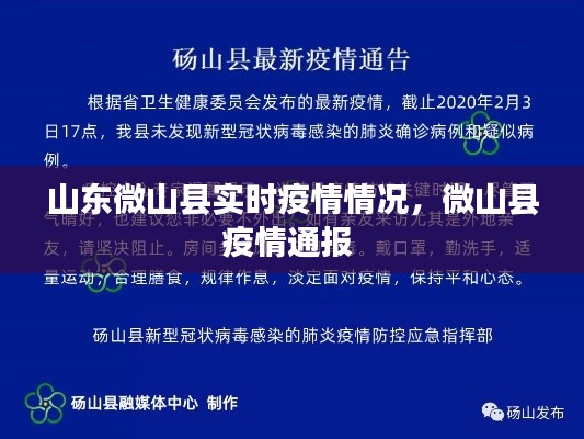 山东微山县实时疫情情况,微山县疫情通报